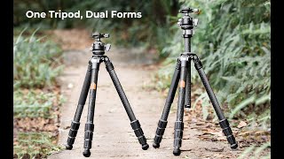 K\u0026F Concept Heavy Duty Carbon Fiber Camera Tripod 55lbs/25kg Load Capacity with 40mm Metal Ball Head