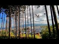 mount fuji from fujinomiya city nonaka hill forest walk by adeyto