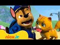 The Best Sneezy Chase Moments in PAW Patrol! 🤧 10 Minutes | Nick Jr.