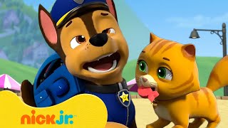 The Best Sneezy Chase Moments in PAW Patrol! 🤧 10 Minutes | Nick Jr.