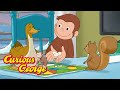 Playing Board Games with Animal Friends 🐵  Curious George 🐵 Kids Cartoon 🐵 Videos for Kids
