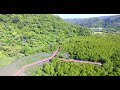 4k 大浦湾マングローブの長～～～い遊歩道　ドローン空撮　 okinawa drone footage 　沖縄　動画　素材　観光