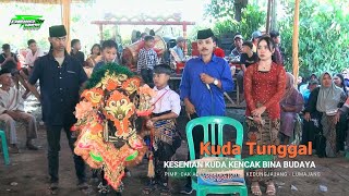 Kuda Tunggal Bina Budaya Live dirumah Bpk. Sunarip Ilham Selok Anyar