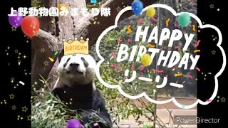 『誕生日☆リーリーへの道』上野動物園みまもり隊☆パトロール記録