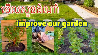 improve our gardens 🪴ដាំ​ដំណាំ​នៅ​ក្រោយ​ផ្ទះ