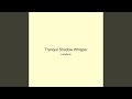 Tranquil Shadow Whisper