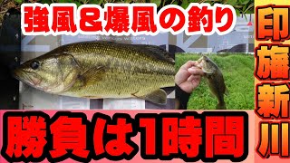 【印旛沼水系】新川・花見川釣行！強風のタイムリミット1時間！バス釣り BASSfishing