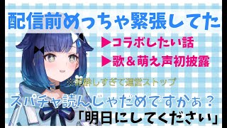 1か月記念配信で振り返り＆やりたいことを語るも泥酔し大暴走していく紡木こかげ【紡木こかげ/ぶいすぽっ！】