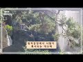 당신 인생의 이야기 🎯 해외 과학소설. 단편. 작가 테드 창. 책리뷰. 책소개. 추천도서. 흥미로운 소재가 가득한 소설 속으로 들어가 볼까요