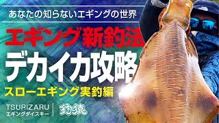 エギング歴15年戦士から教わる新釣法！しゃくらずに釣る春のデカイカ！【スローエギング実釣編】