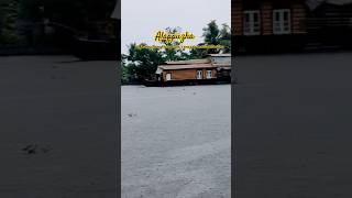 മഴയിൽ നനഞ്ഞ സുന്ദരി.....ആലപ്പുഴ#kuttanad #travel #shorts