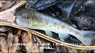 【山女魚の隠れ家。岩魚の隠れ家。】赤久縄2024 12 11（8）