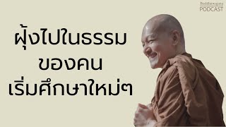 ฝุ้งไปในธรรม-ของคนเริ่มศึกษาใหม่ๆ