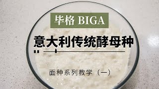 意大利传统酵种制作一BIGA毕格酵种 天然酵母种的制作 意大利人制作面包的首选 波兰酵种（Poolish）、法国老面（Pâte Fermentée）和海绵酵种（Sponge） 酵种的制作系列（一）