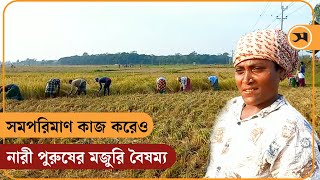 সমপরিমাণ কাজ করেও নারী পুরুষের মজুরি বৈষম্য | Gaibandha