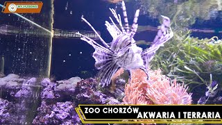 ZOO CHORZÓW - Akwaria i Terraria