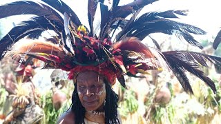 Chimbu Province, |PNG|.Traditional Dancers in Beautiful \u0026 Colourful atttires. Unique Headdress.