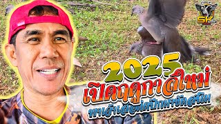 เปิดฤดูกาล 2025 พาเจ้าเสือติดปีกมาขัดสนิม