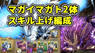 【パズドラ】マガイマガト降臨2体スキル上げ編成　キリンリーダー