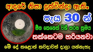 පැය 30 න් ඕන කෙනෙක් වශී කරන ඉතා බලගතු රහස් කෙමක් | gurukam | washi gurukam | Dewa bakthi | mantra