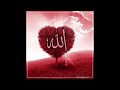 islamic dpz collection❤️ allah muhammad name dp images for whatsapp beautiful dpz