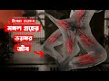 মঙ্গল গ্রহের ভয়ঙ্কর জীব। Life (2017) Film Explained in Bengali/Bangla Summarized বাংলা