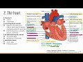 comprehensive ati teas science review lecture_cardiovascular system 1_overview and heart structures