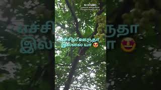 பார்த்தாலே எச்சில் ஊறுகிறதா