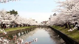 「鶴岡公園」の四季・・・山形県鶴岡市