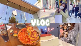 [VLOG]생일날🎂가로수길 애플스토어 아이패드 픽업🍎