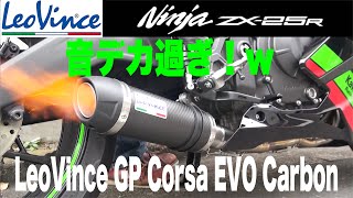 【ZX-25R】その23 たった9万円 フルエキ LeoVince GP Corsa EVO Carbonサウンド 高音質【マフラー交換】