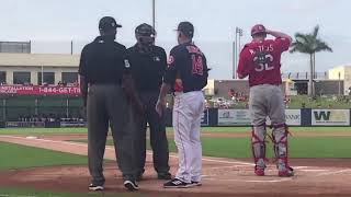 MLB 2019 Spring Training Ejections
