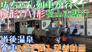 【伊予鉄】坊ちゃん列車が行く！D1形+ハ1形 松山市駅行 道後温泉発車