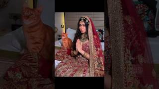Adah Sharma Looking So Cute In Bridal Dress #shorts #short #youtubeshorts #shortsvideo #youtube #yt
