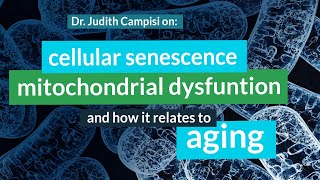 Judith Campisi, Ph.D. on Cellular Senescence, Mitochondrial Dysfunction, Cancer & Aging