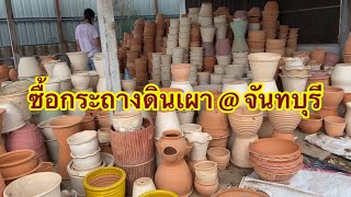 แวะซื้อกระถางดินเผา @ จันทบุรี มีบอนสีขายด้วยจ้า