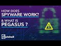 What is Pegasus? | How does spyware work? | Ft. Andre Borges | Nutshell