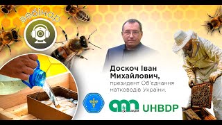 Весняні роботи на пасіці. Підготовка бджолосімей до ранніх та середніх медозборів