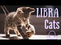 Libra Cats