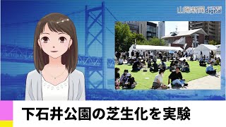 【１０月２６日】下石井公園の芝生化を実験　ＡＩアナＮＥＷＳ