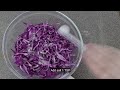 දම් ගෝවා සලාදය purple red cabbage salad ep 123