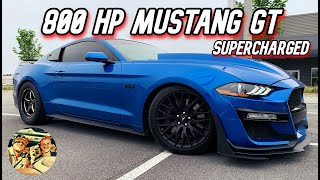 800 HP ホイップル スーパーチャージド フォード マスタング GT - GT500 より速いコールド スタート、ドライブ、レビュー