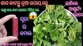 ଶାଗ କାଟନ୍ତୁ ସୂତା ସାହାଯ୍ୟ ରେ//ଘଣ୍ଟା କର କାମ ଗୋଟେ ମିନିଟ୍ ରେ//ଆଶ୍ଚର୍ଯ୍ୟ ହେଇଯିବେ/amezing kitchen tips