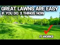 Why Lawn Companies Hate Me - Do This Right NOW & Enjoy a Great Lawn all Summer without the FUSS