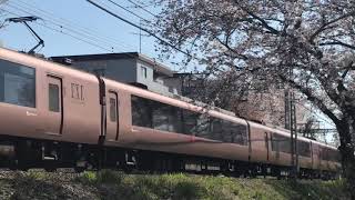 桜の木々の路を行く小田急線 相武台前〜座間