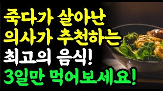 와.. 3일만 먹어도 만성염증 싹 사라진다! 이렇게 먹으면 건강 식사 전부 해결됩니다! / 명언 오디오북 인생조언