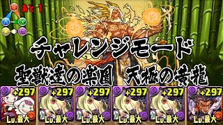 【パズドラ】聖獣達の楽園 天極の黄龍 チャレンジモード 最強装備・曲芸士 龍族拼圖 Puzzle and Dragons