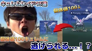 色違い個体値100キュレム降臨！でも、逃げられる？【ポケモンGO】