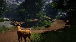 5-Minute Forest Wildlife Simulation in Unreal Engine 5