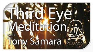 Tony Samara's 'Third Eye Meditation' - TonySamara.com